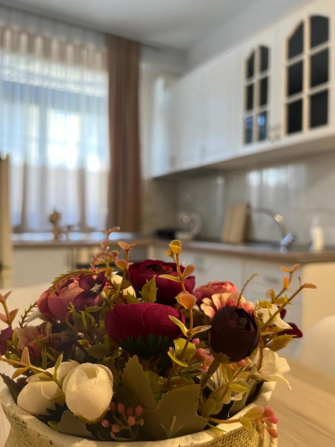 Sael Apartments Shkoder Bagian luar foto