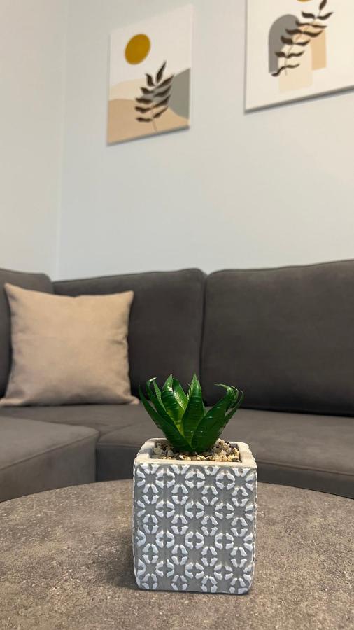 Sael Apartments Shkoder Bagian luar foto